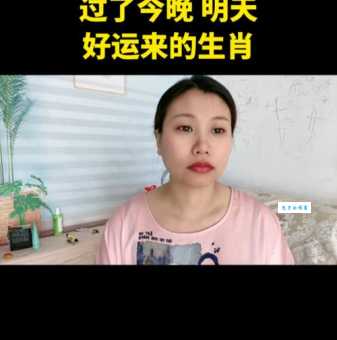 春风拂面是什么生肖？快来看看你猜对了吗？