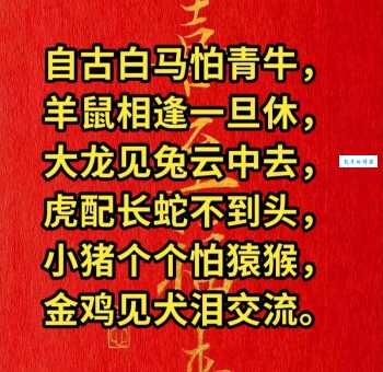 江东日暮云青山是什么生肖？答案揭秘别错过！