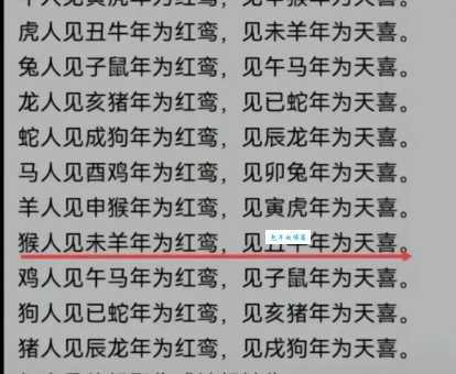 拓落不羁是什么生肖？他们为啥不喜欢被束缚？