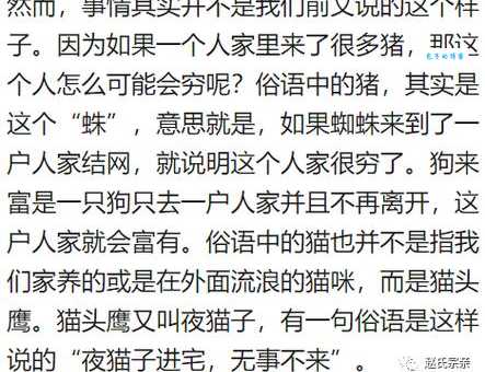 暮去朝来是什么生肖？这些说法你听说过吗？