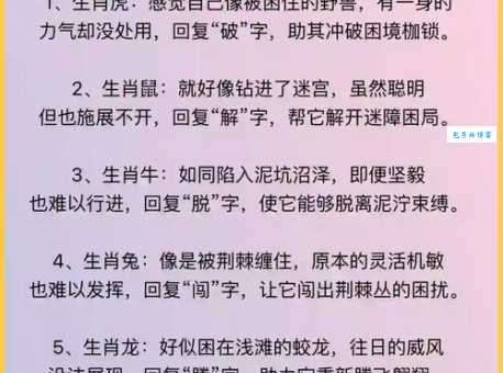 躲在角落不见人指什么生肖？一分钟带你了解！