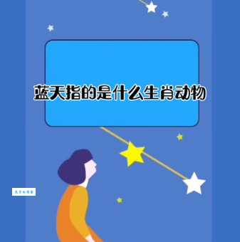 蓝天飞虹指什么生肖？这个生肖今年运势好吗？