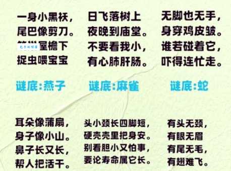 猜谜语：目不识丁打一生肖，看看你猜对了吗？