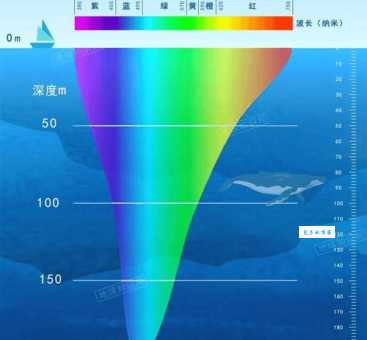 海水是酸性还是碱性？简单解释海水pH值