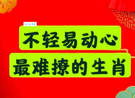 哪个生肖最狂？天大地大我最大，非它莫属！