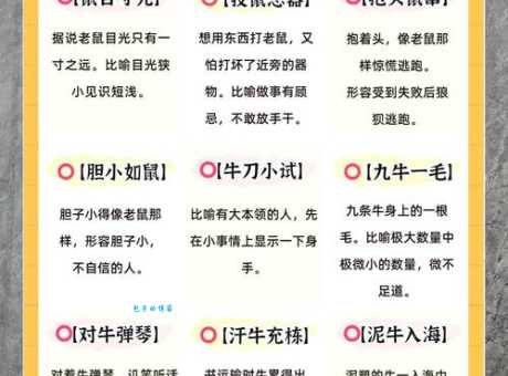 眉飞色舞代表哪个生肖？揭秘隐藏的生肖动物