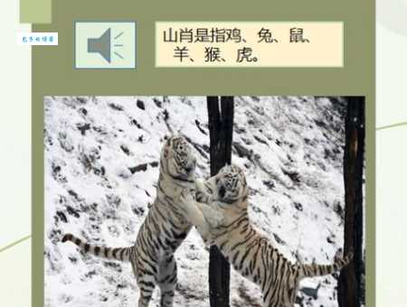 猜生肖：六指山上人中人，究竟是哪种动物？