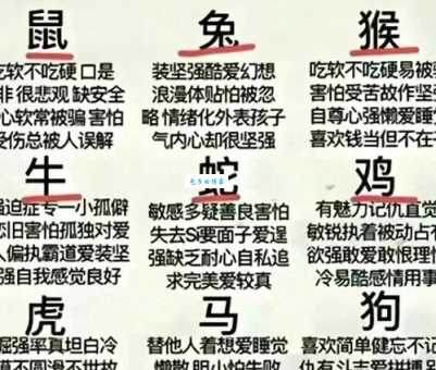 急着回家是哪个生肖？探秘“归心似箭”的生肖动物