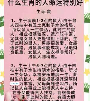 窃听风云生肖之谜：鼠、狗还是其他生肖？