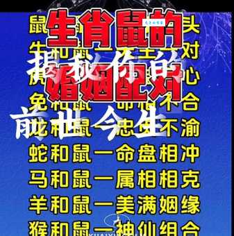 窃听风云生肖之谜：鼠、狗还是其他生肖？