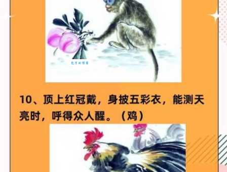 猜生肖：三长两短，答案是什么动物？