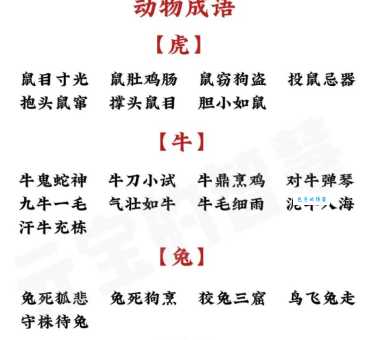 解读成语邻鸡惊晓，对应哪些生肖动物？